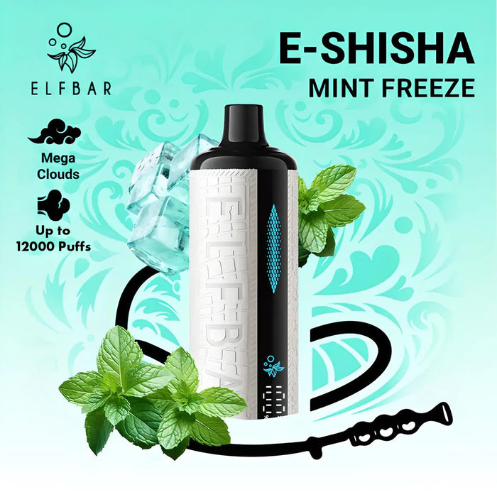 Elf Bar 12000 - Mint Freeze